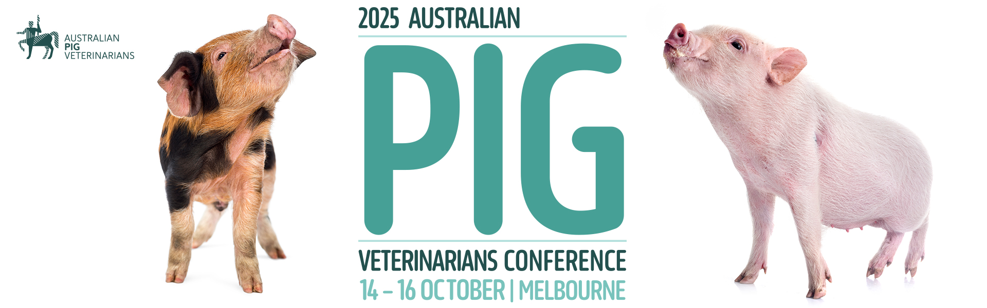 2025 APV Conference  | Exhibition & Sponsorship Booking