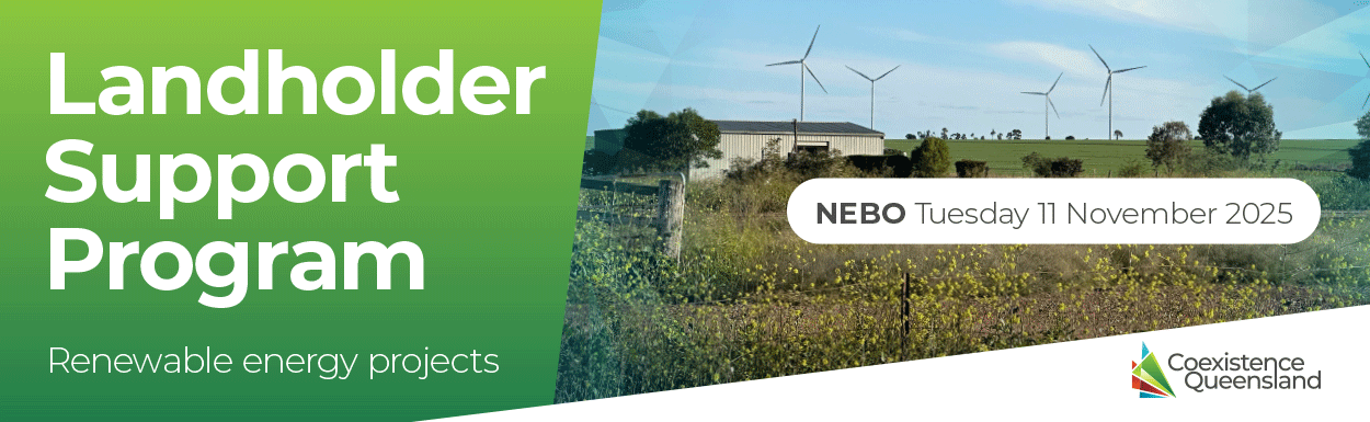 LSP Renewables -  Nebo, November 2025